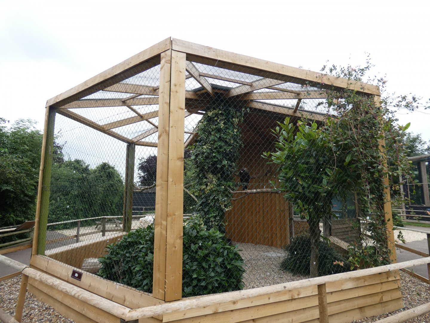 Steppe eagle aviary (Suffolk Owl Sanctuary)