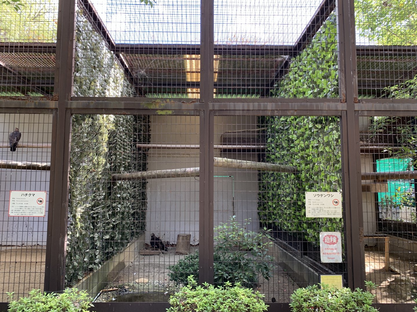 Steppe Eagle Enclosure (Himeji City Zoo)