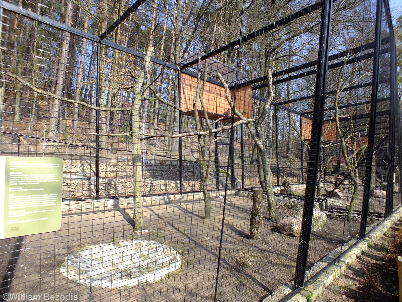 Steppe Eagle Enclosure