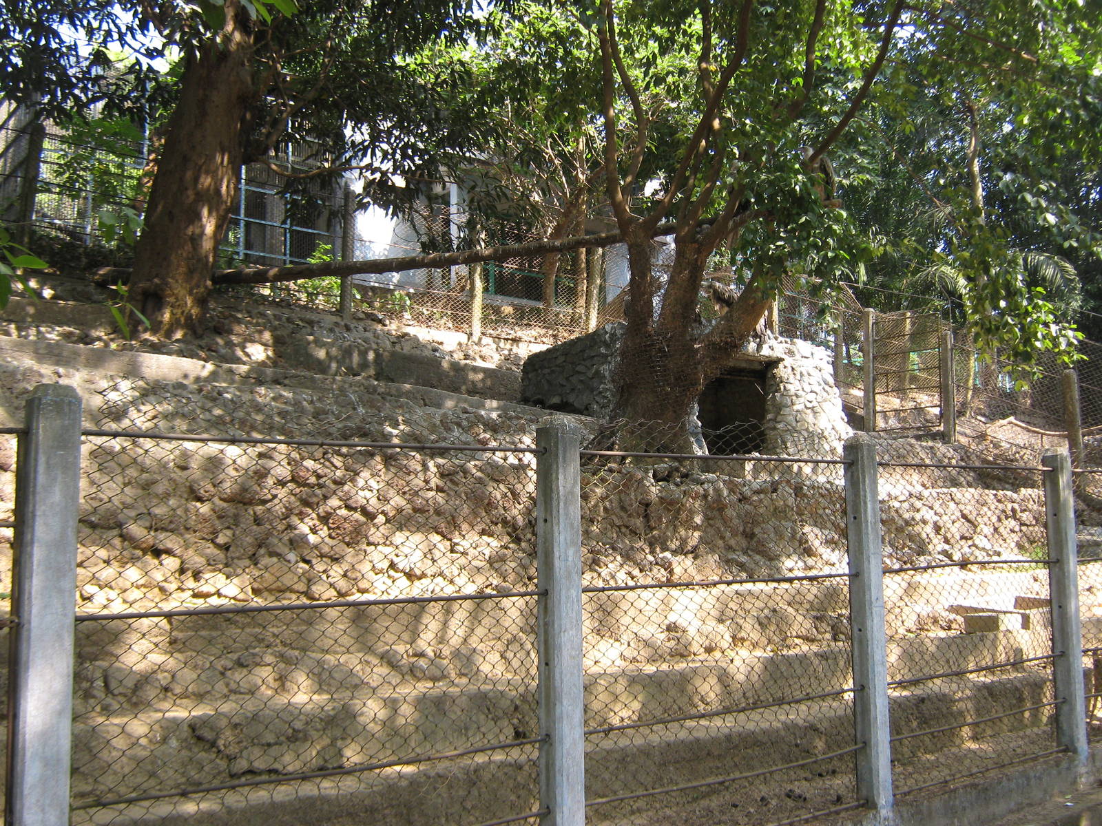 stepped deer enclosure