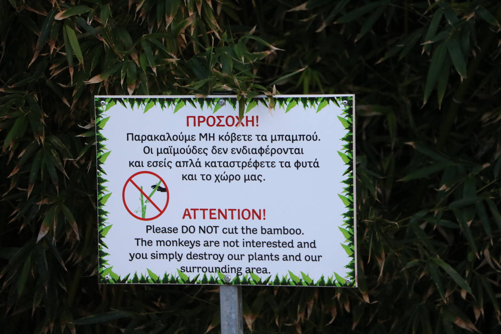 (stern?) Bamboo sign, February 2016