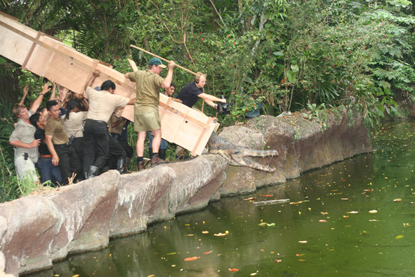 Steve Irwin and team @ Singapore Zoo 2005
