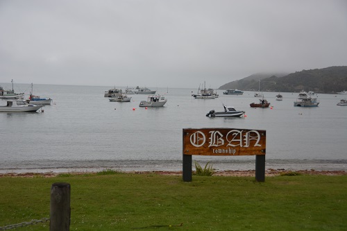 Stewart island