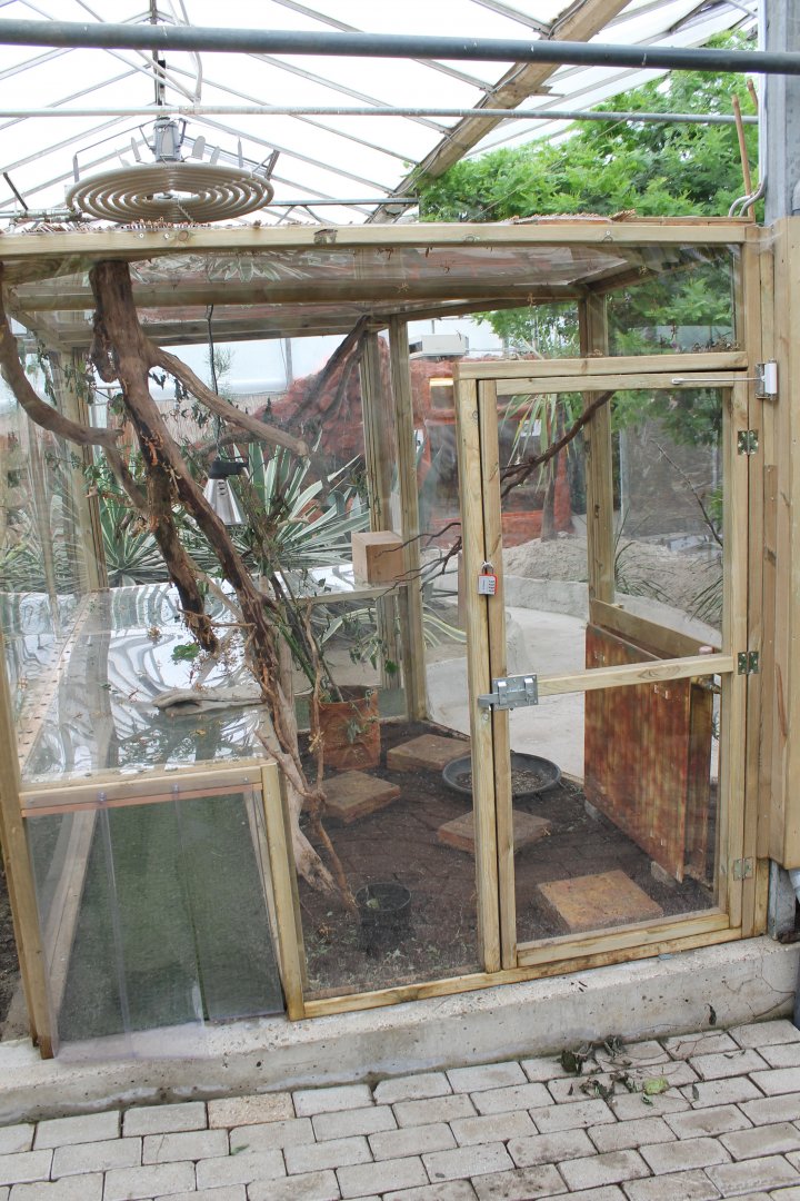 Stick-insect enclosure