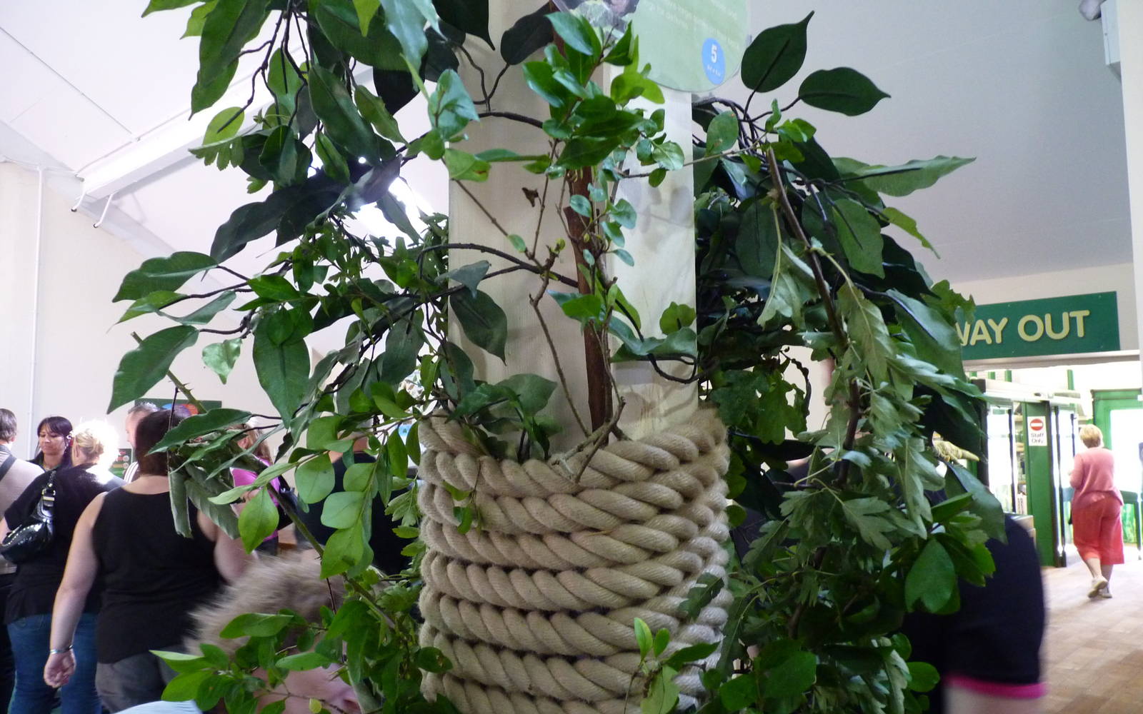 Stick Insect Exhibit