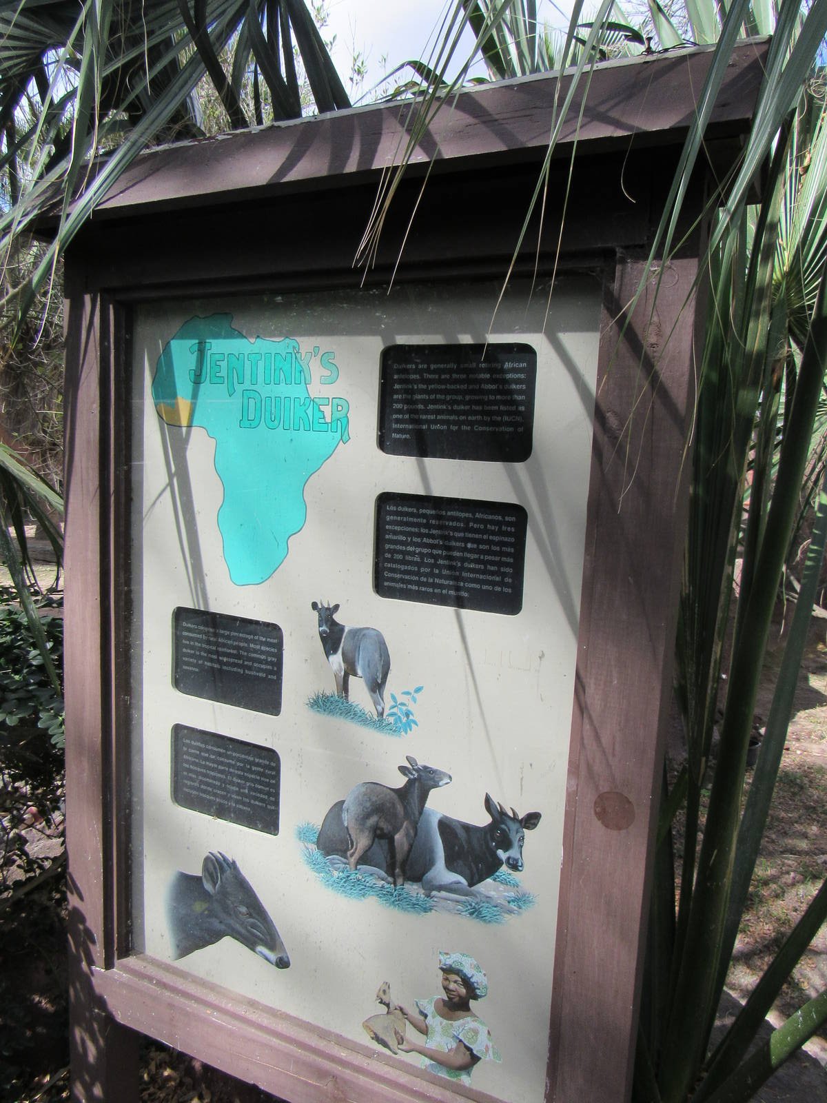 Still here in memory...