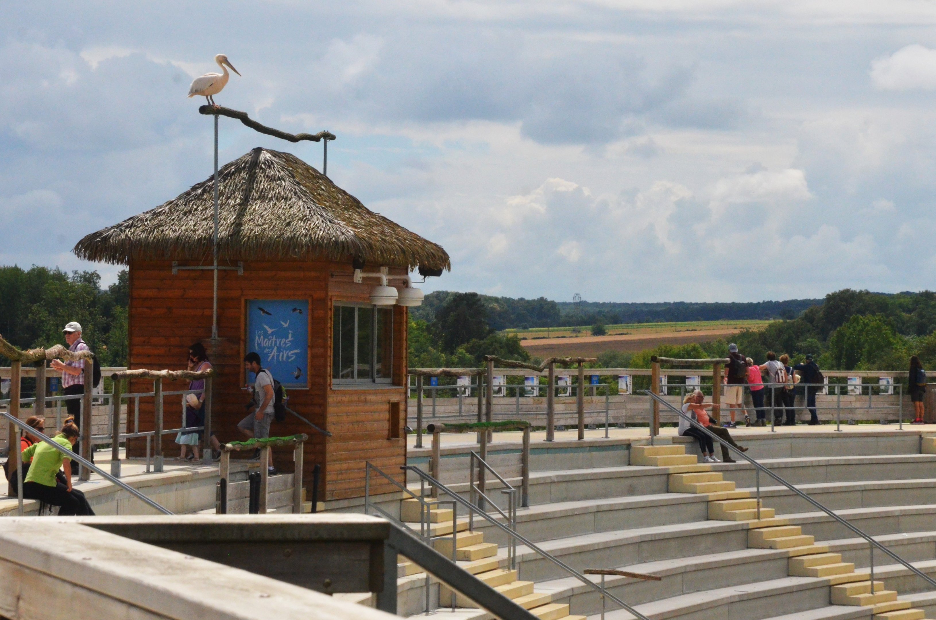 Still Not All Taken In - Les Maîtres des Airs at Beauval, 12/06/18