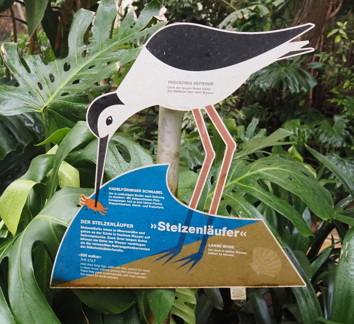 Stilt signage, 2024-05-22