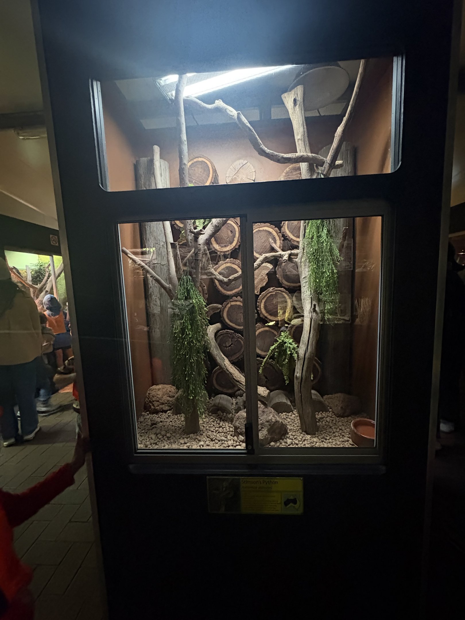 Stimson’s Python enclosure - July 2025