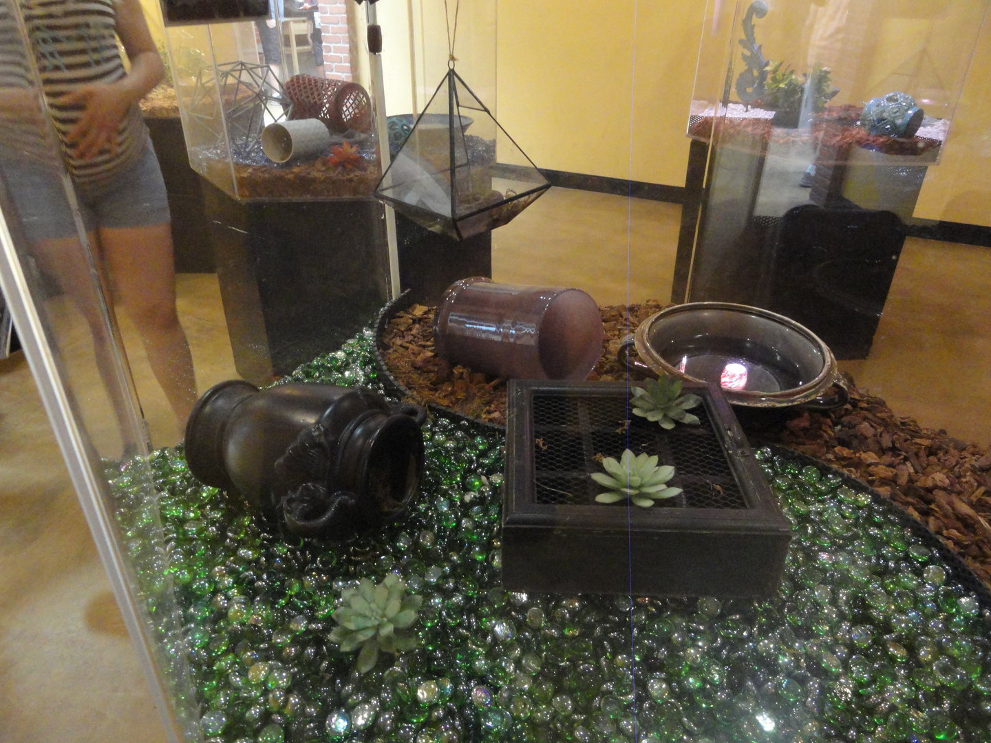 Stimson's Python Exhibit