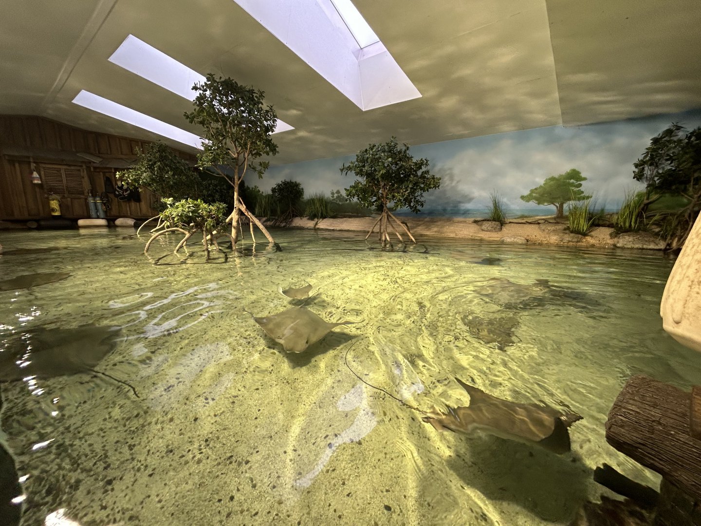 Stingray Bay - Australian Adventure