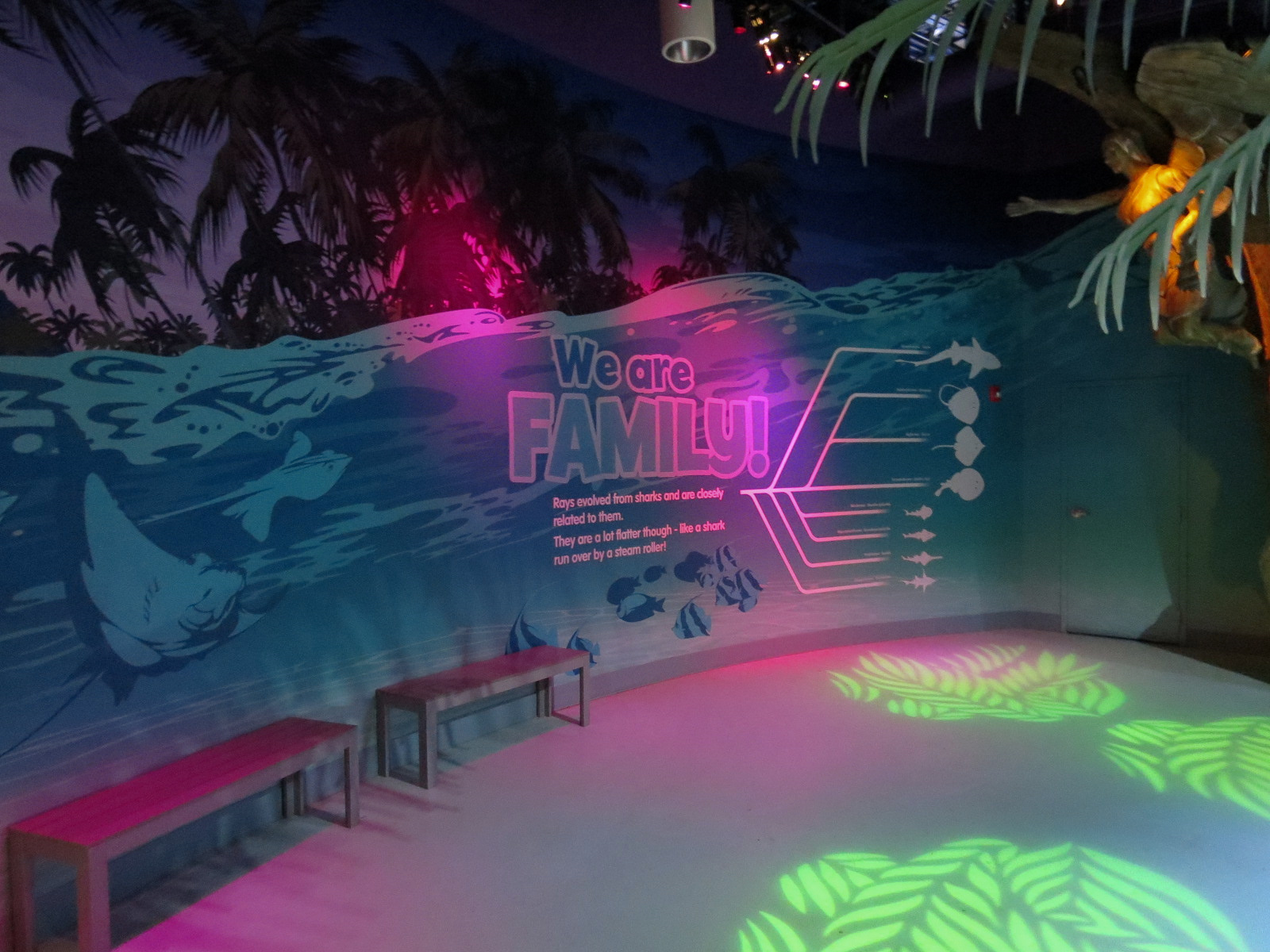 Stingray Bay Exhibit