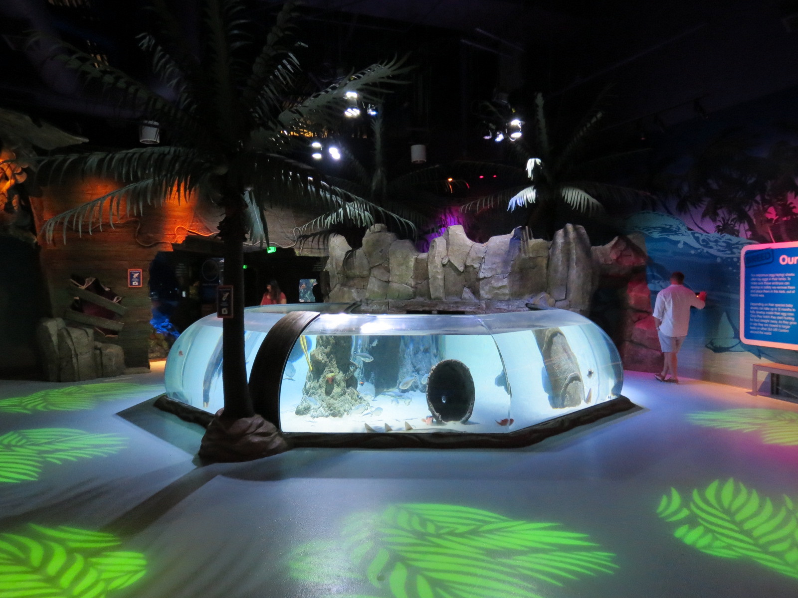 Stingray Bay Exhibit