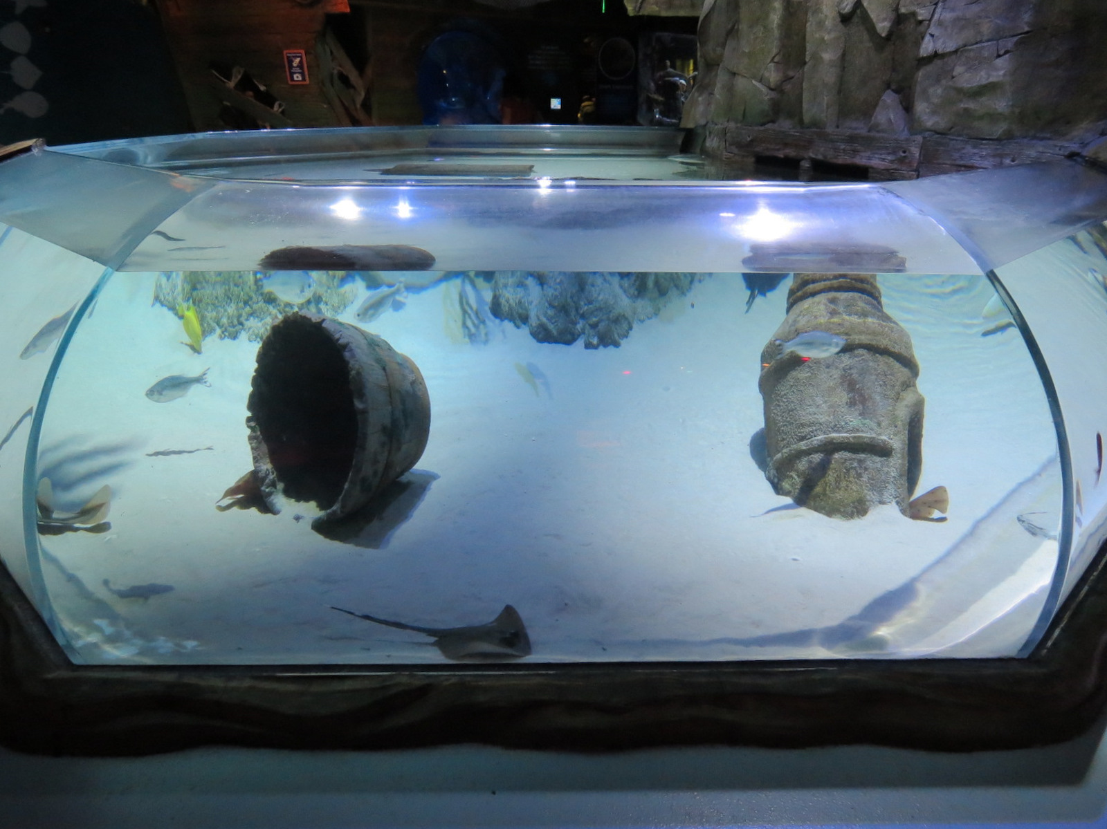 Stingray Bay Exhibit