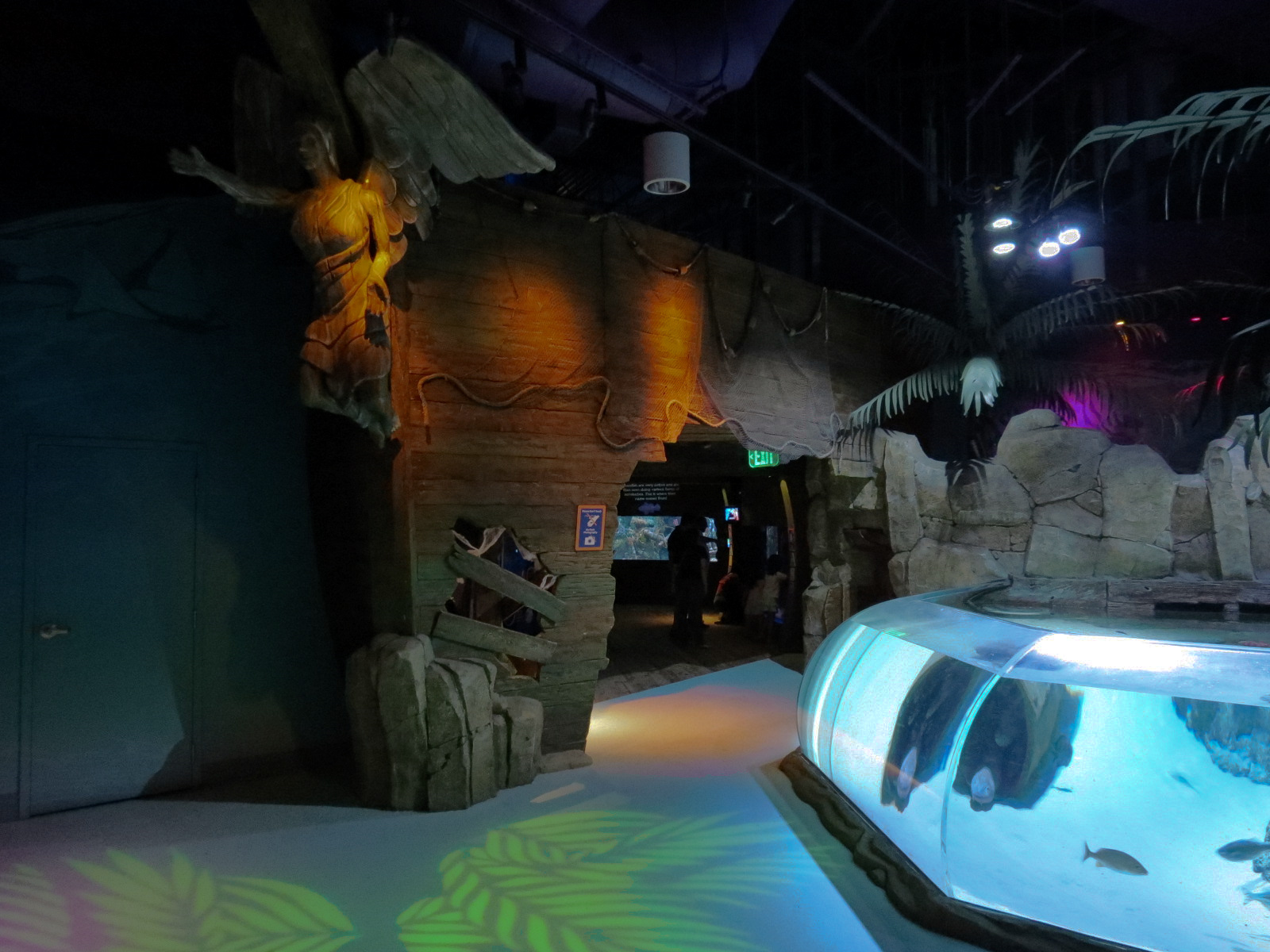 Stingray Bay Exhibit