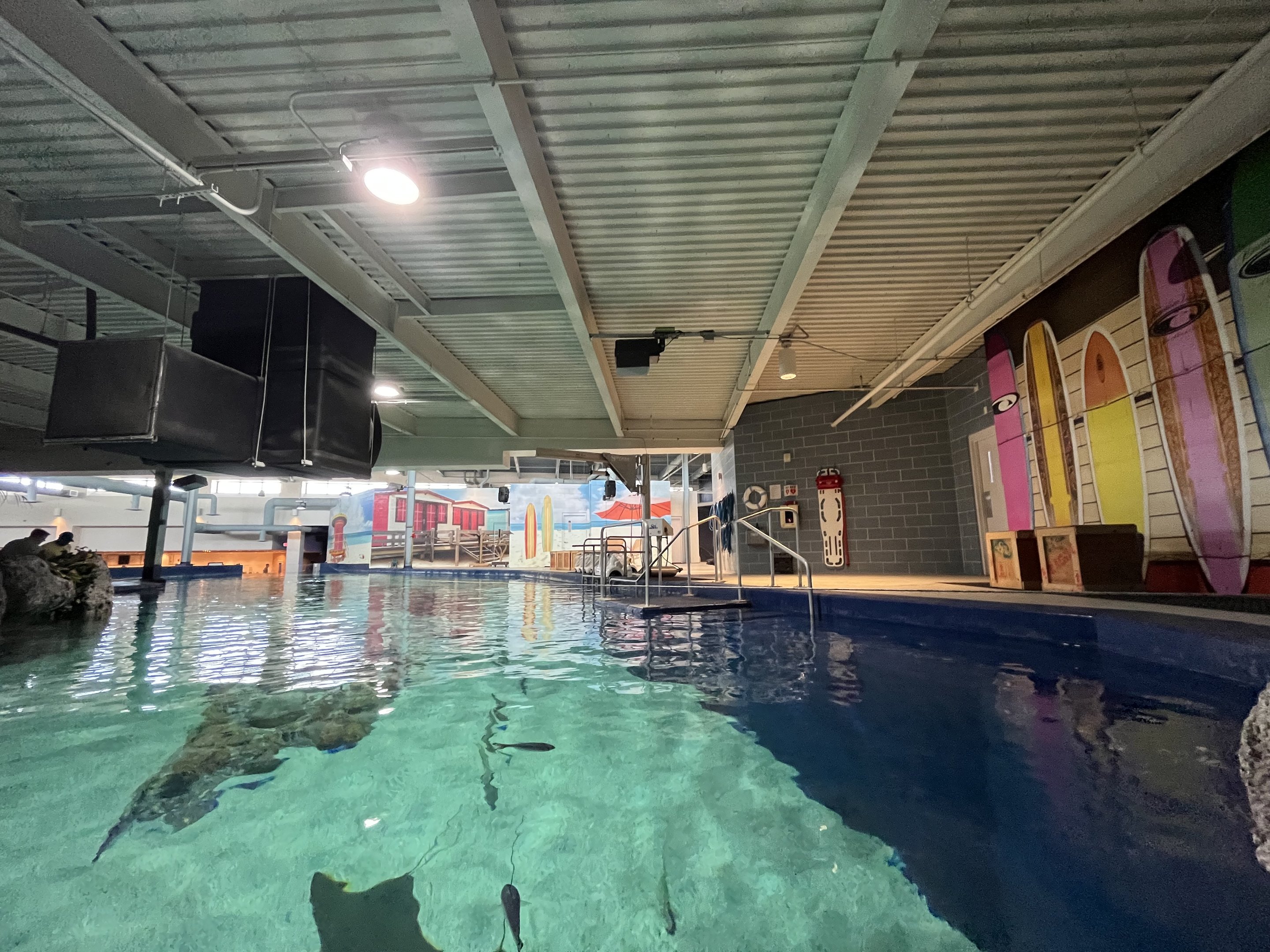 Stingray Bay Exhibit