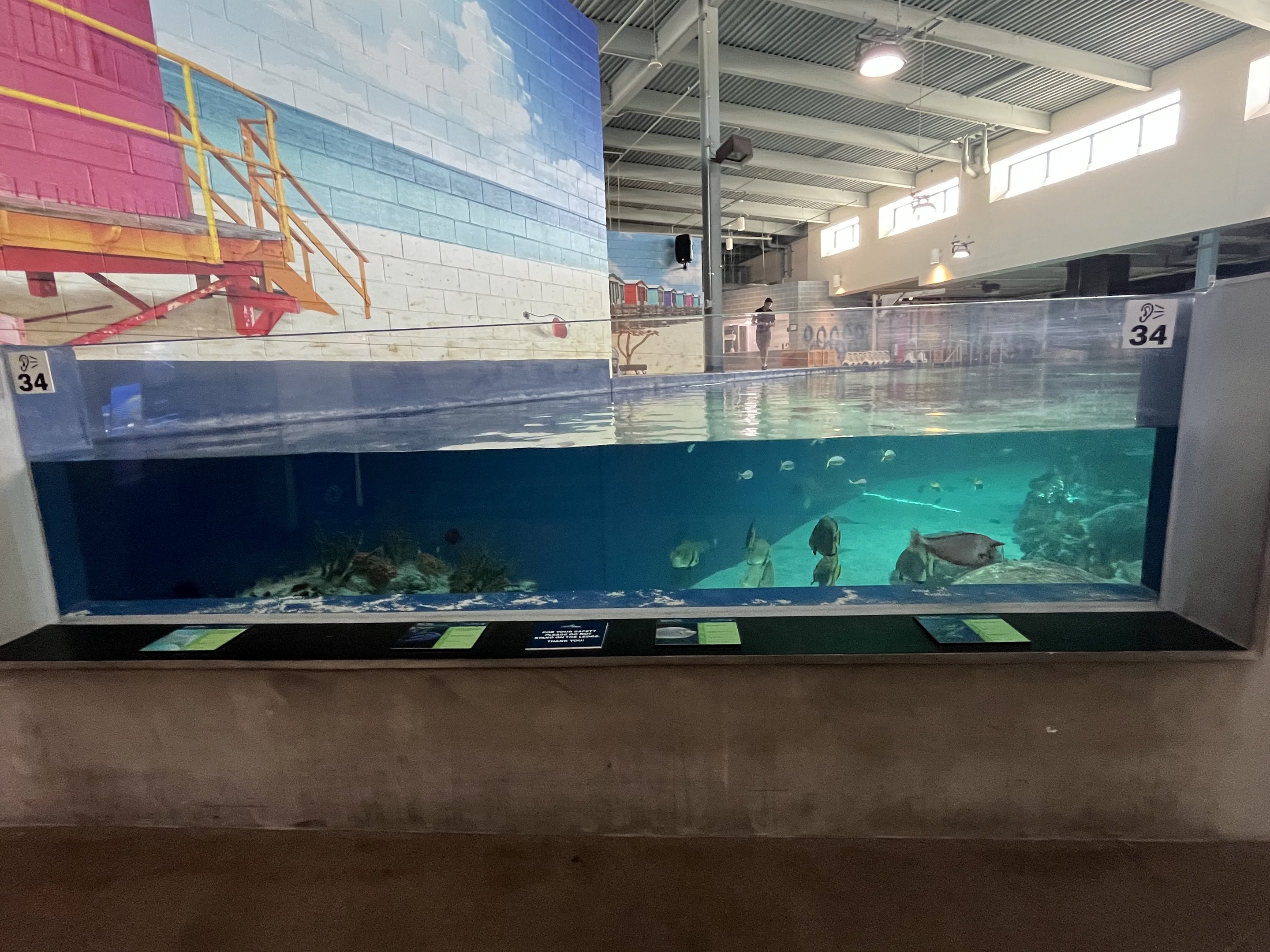 Stingray Bay Exhibit