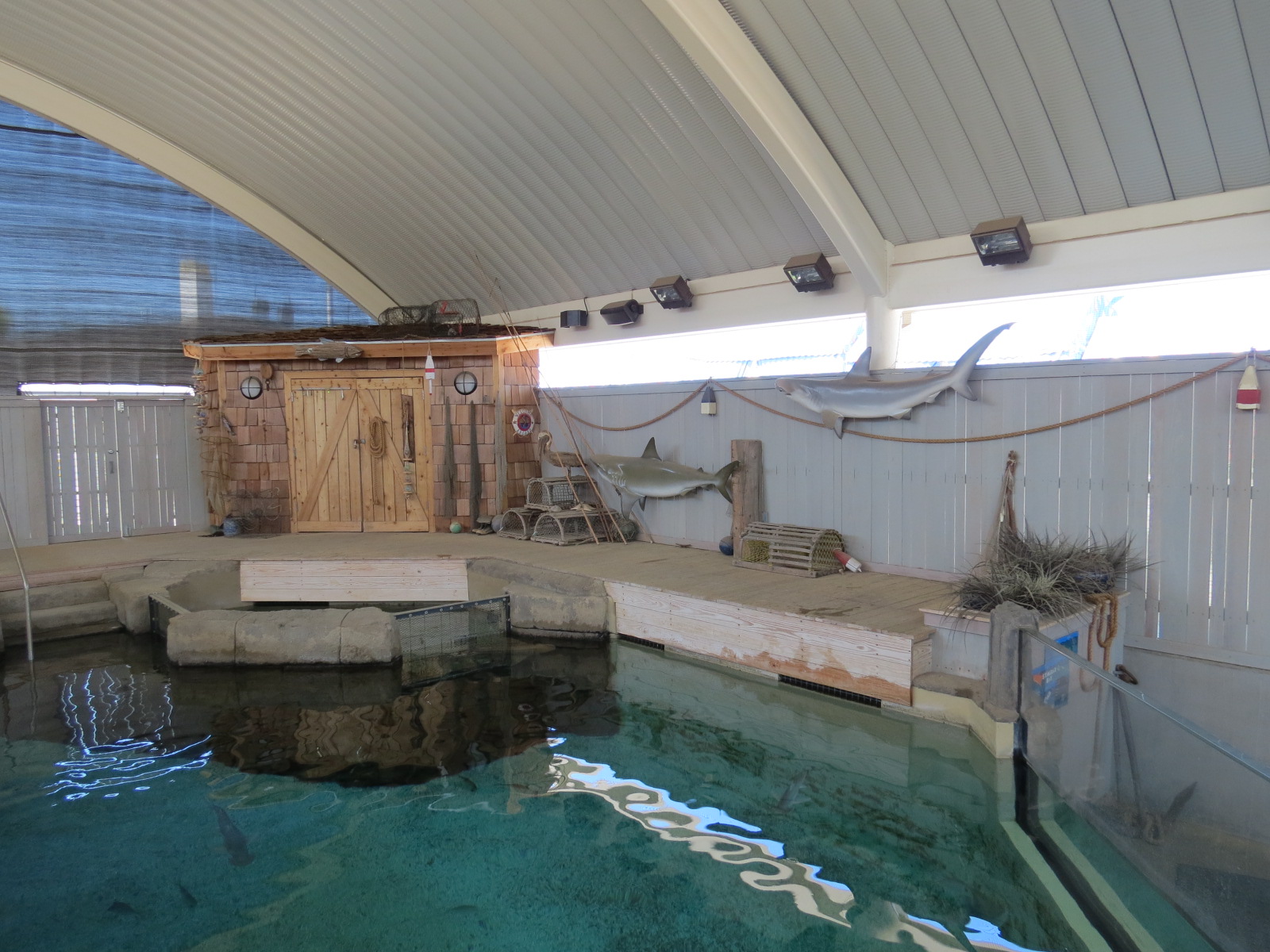 Stingray Bay - Shark Exhibit