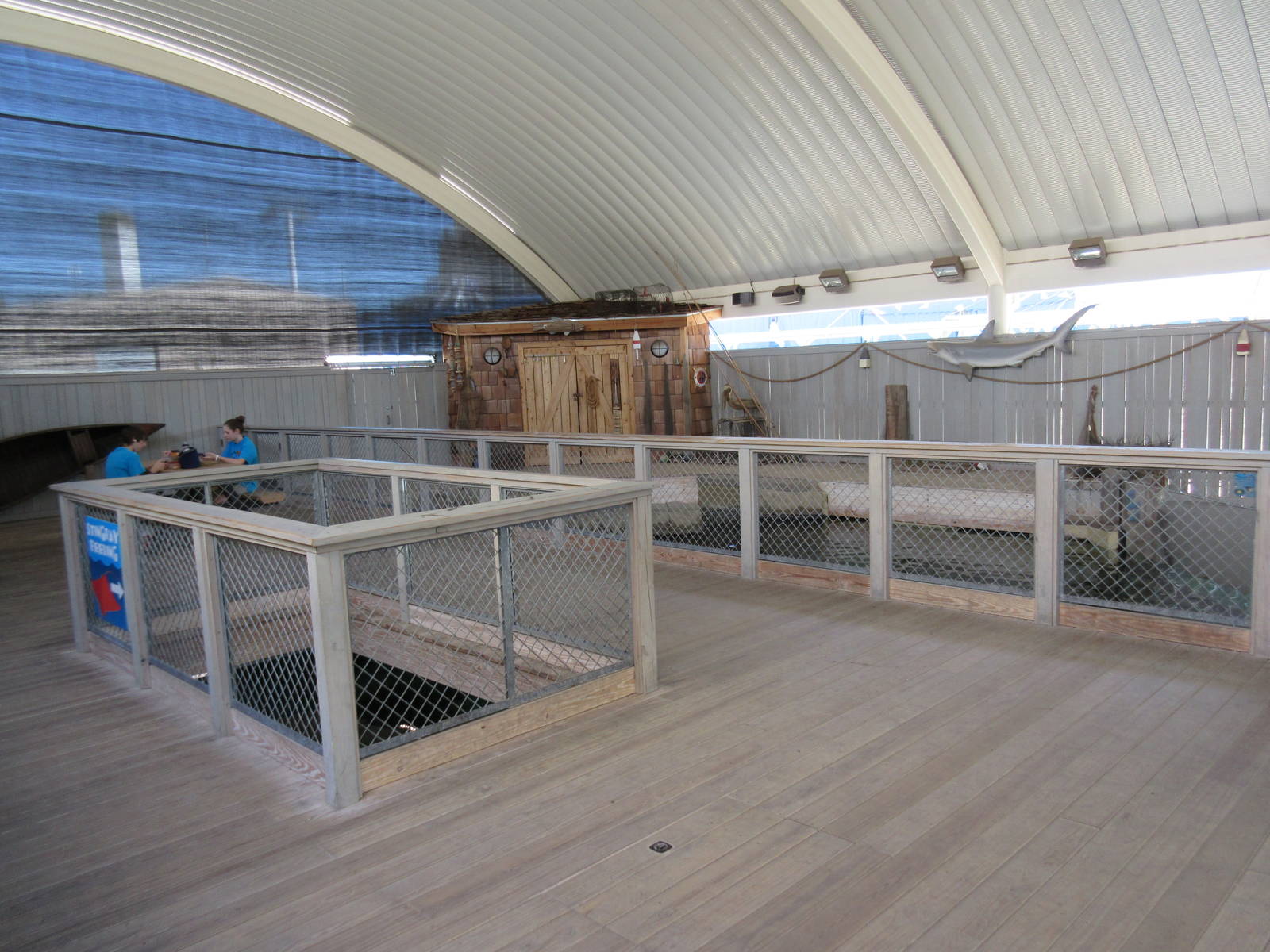 Stingray Bay + Shark Tank Building