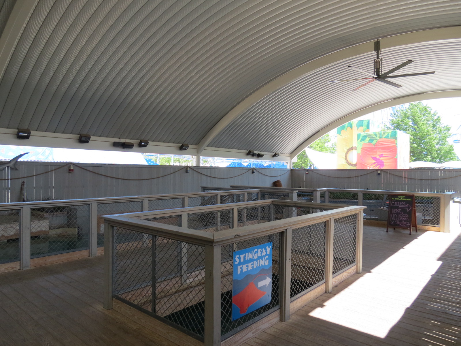 Stingray Bay - Viewing Area