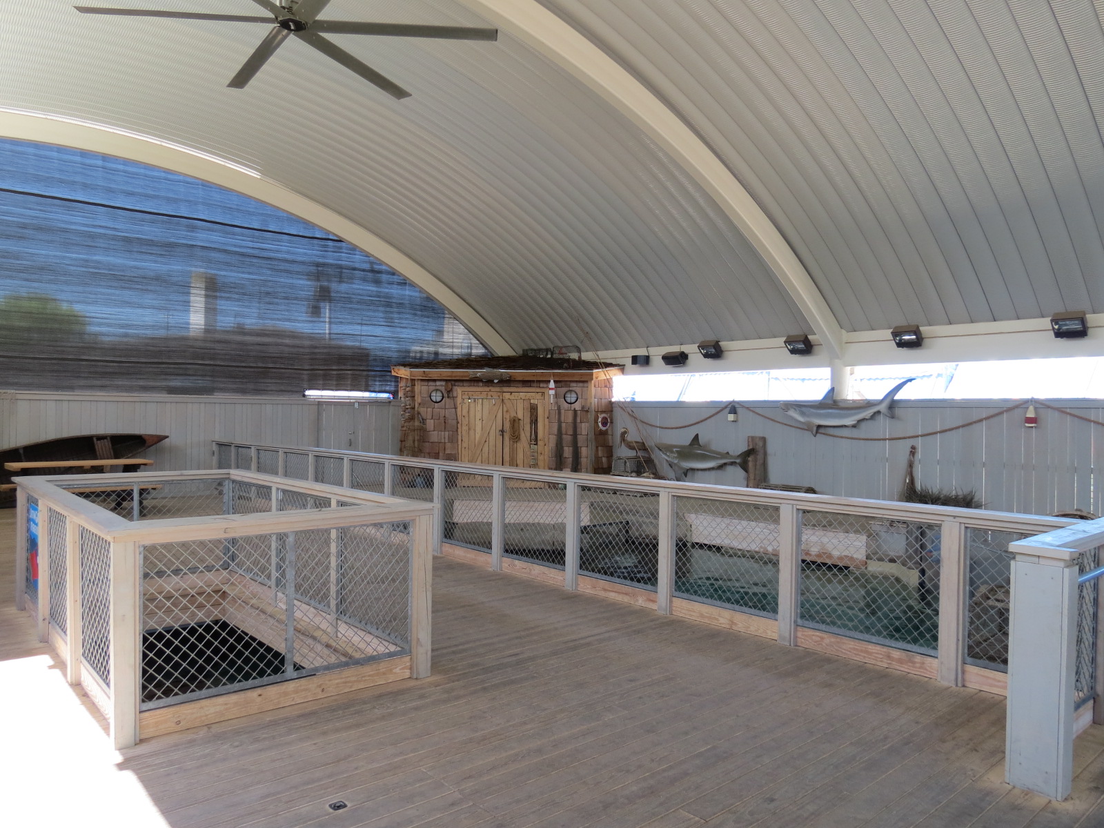 Stingray Bay - Viewing Area