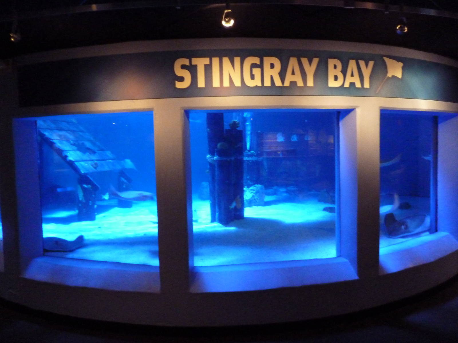 Stingray Bay