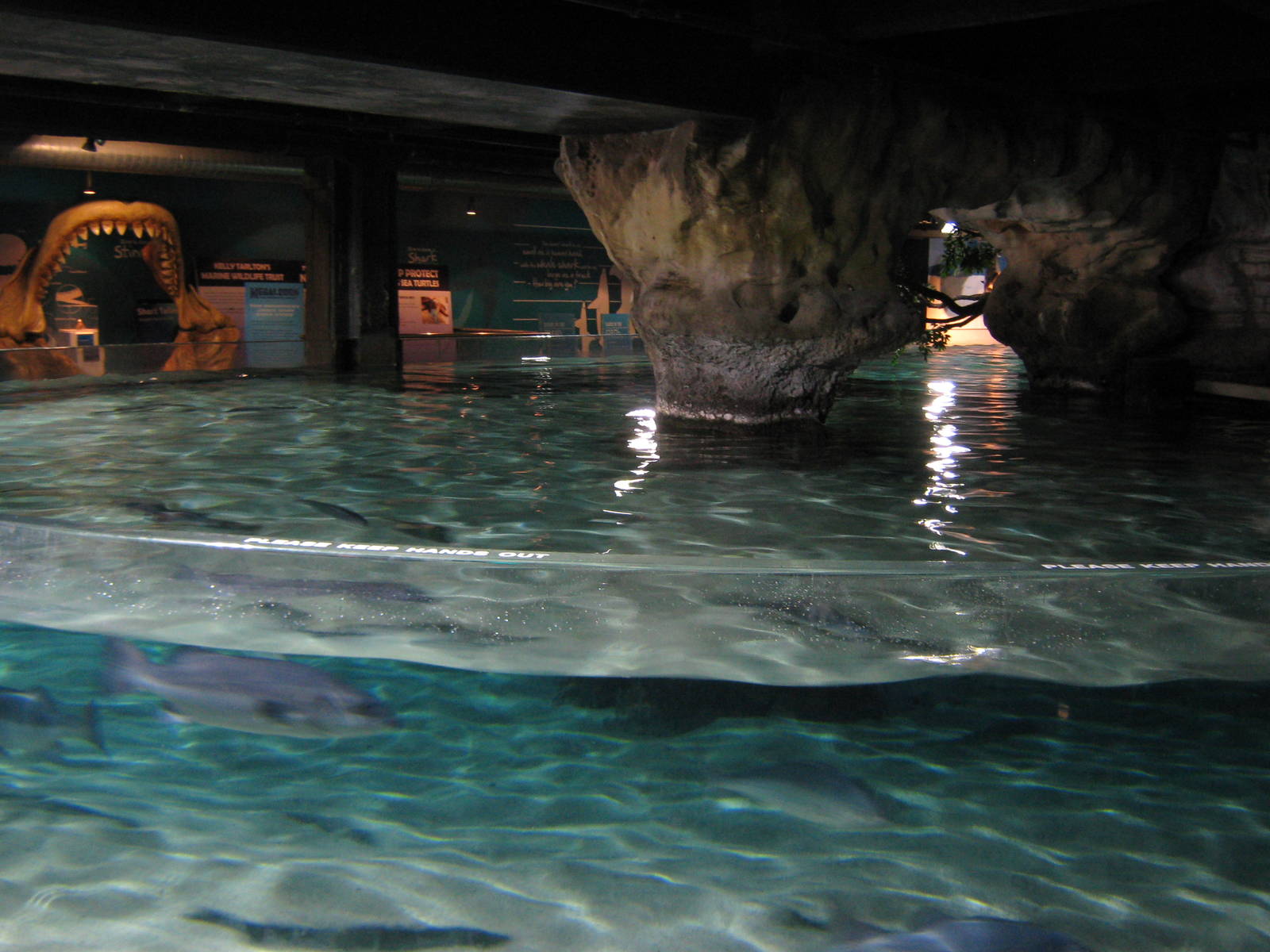 Stingray Bay