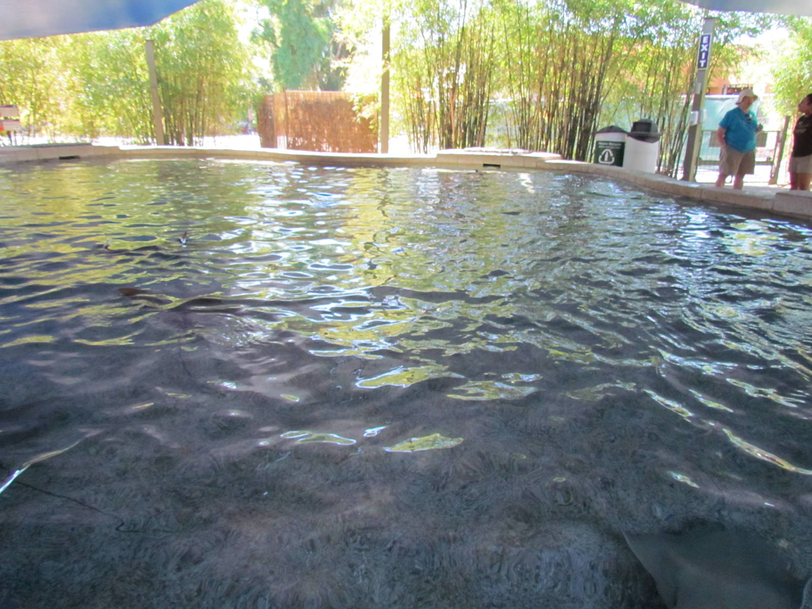 Stingray Bay