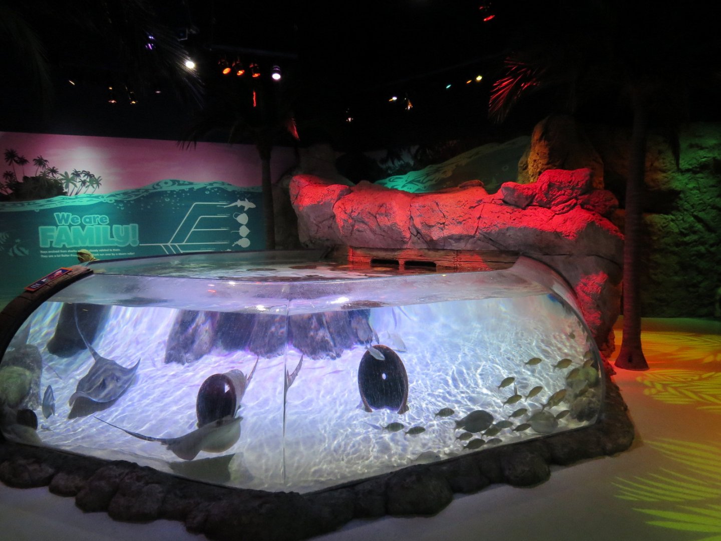 Stingray Cove Exhibit