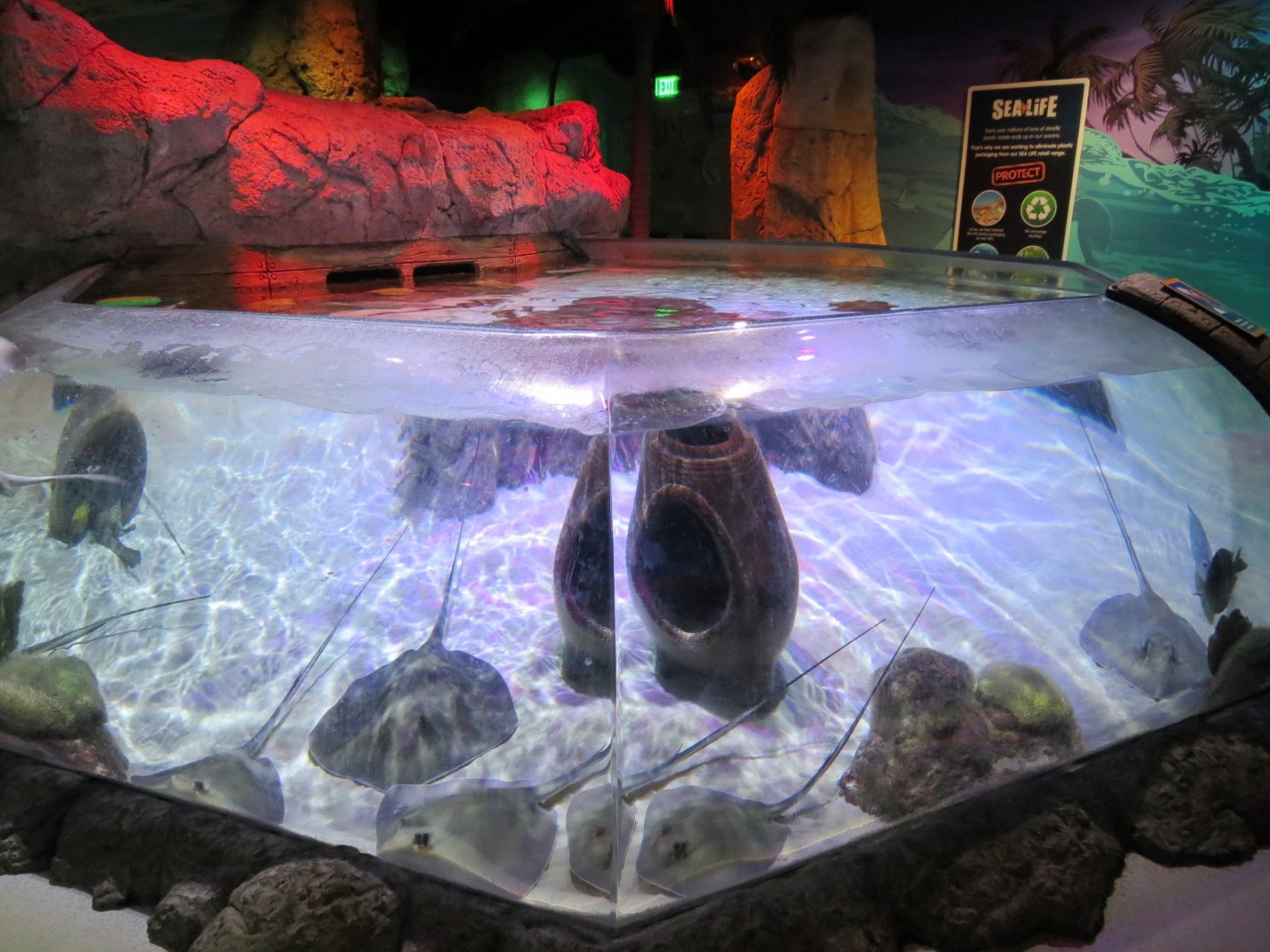 Stingray Cove Exhibit