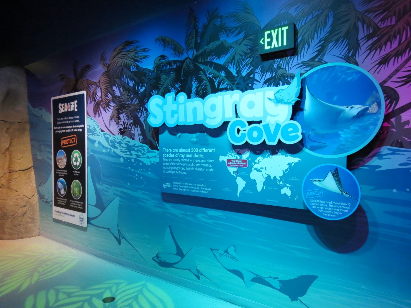 Stingray Cove Sign