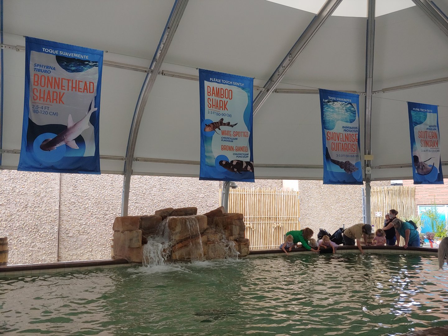 Stingray Cove Species Banners