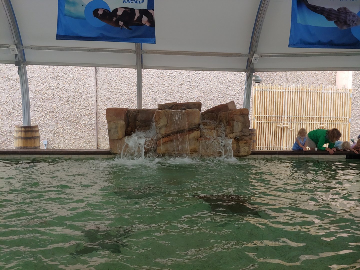 Stingray Cove Water Feature