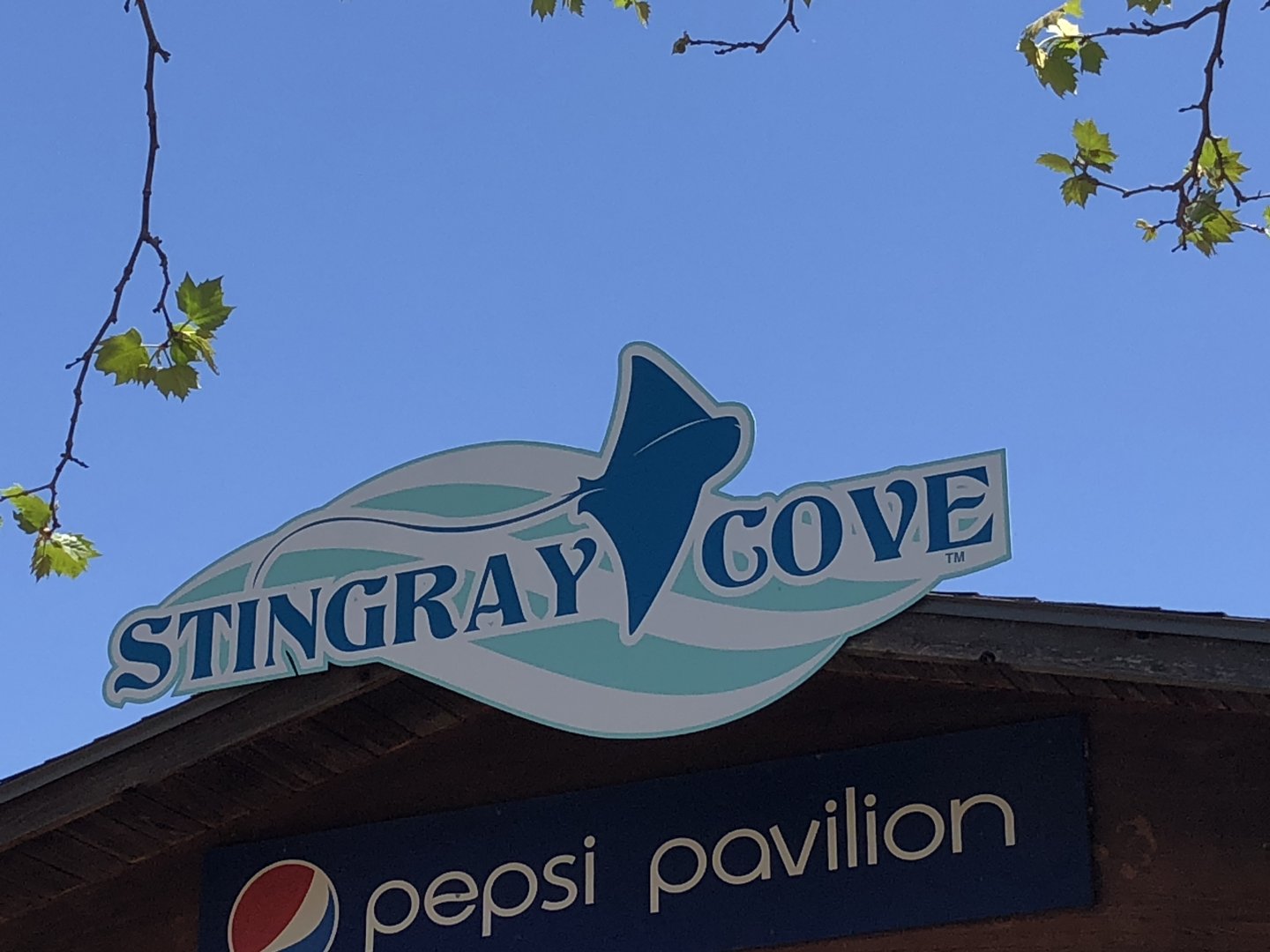 Stingray Cove