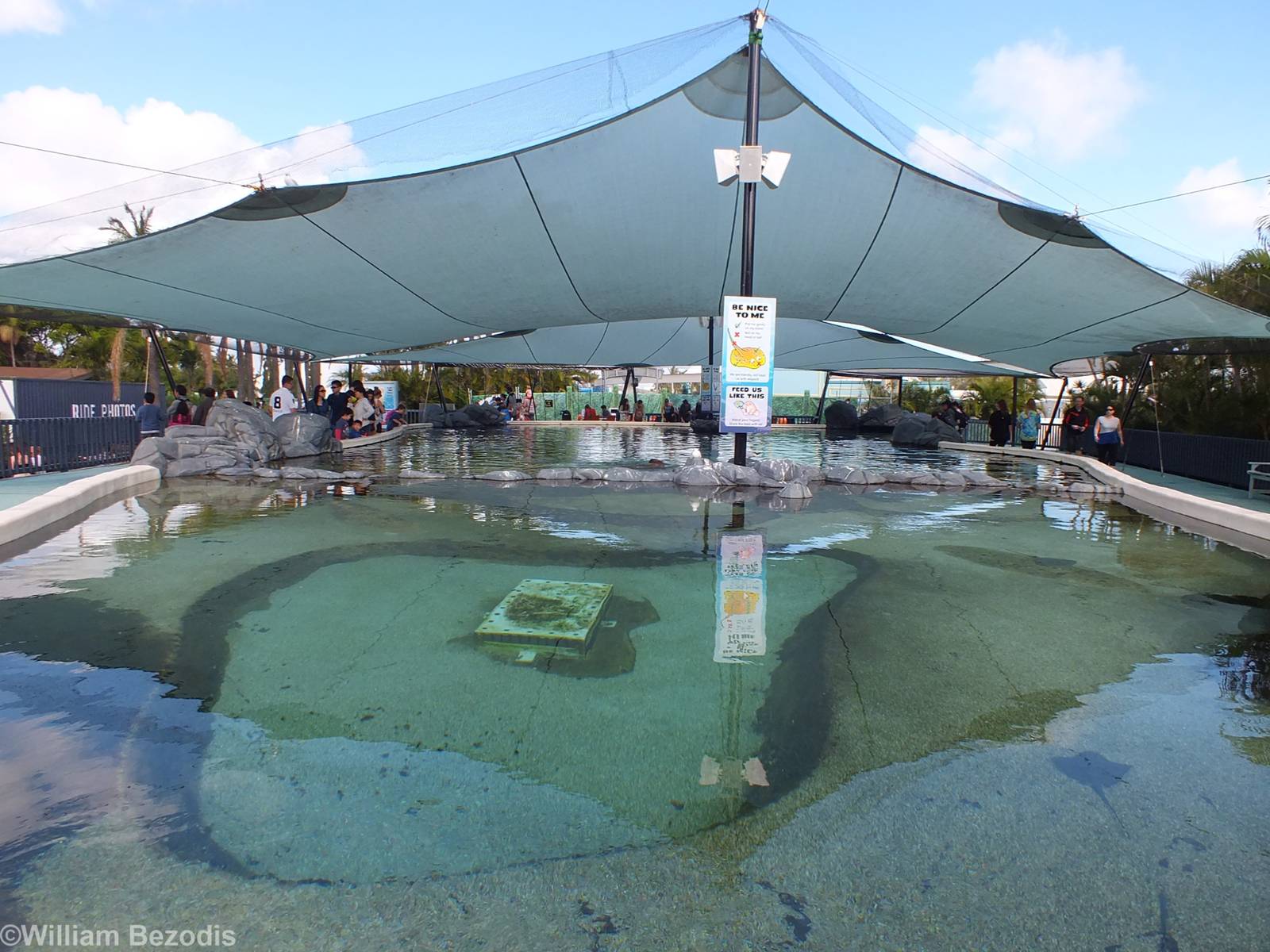 Stingray Enclosure
