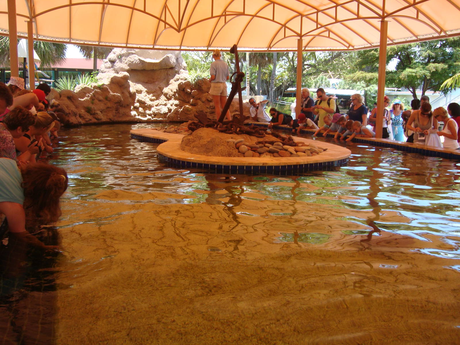 Stingray Exhibit