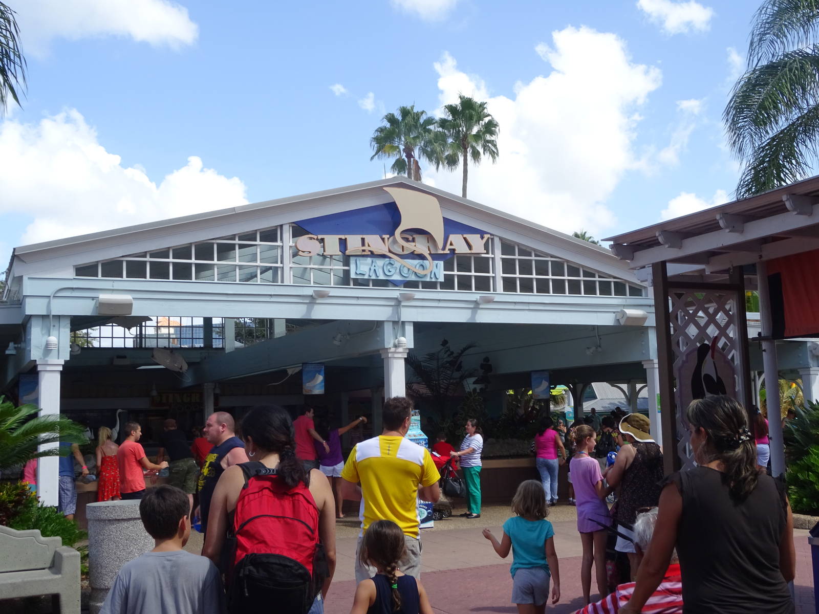 Stingray Lagoon at SeaWorld Orlando