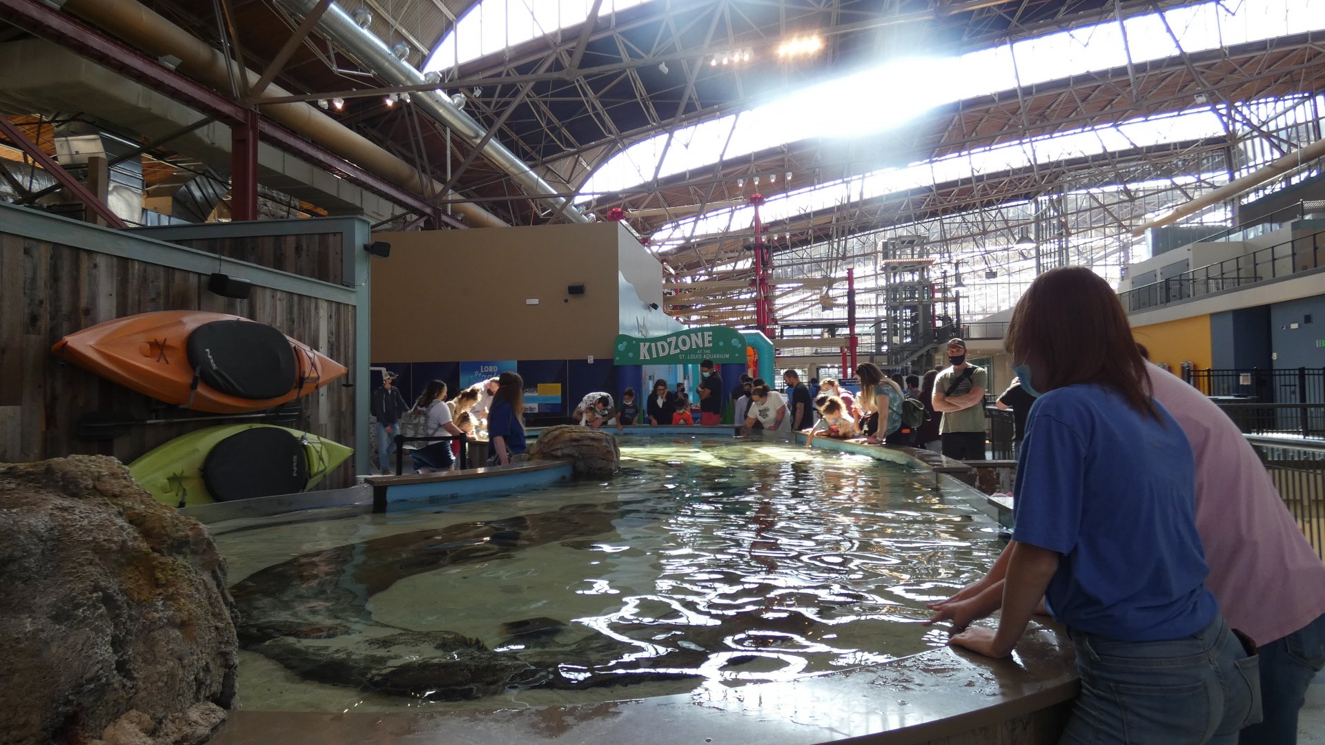 Stingray + Others Touchtank, Ocean Shore - Mar. 2022