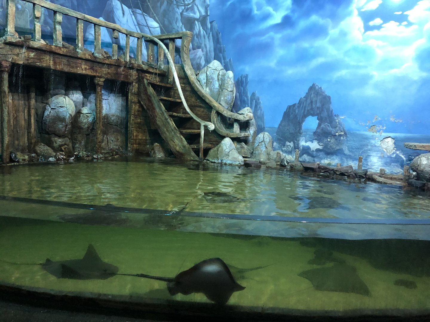 Stingray Tank at ViaSea Aquarium