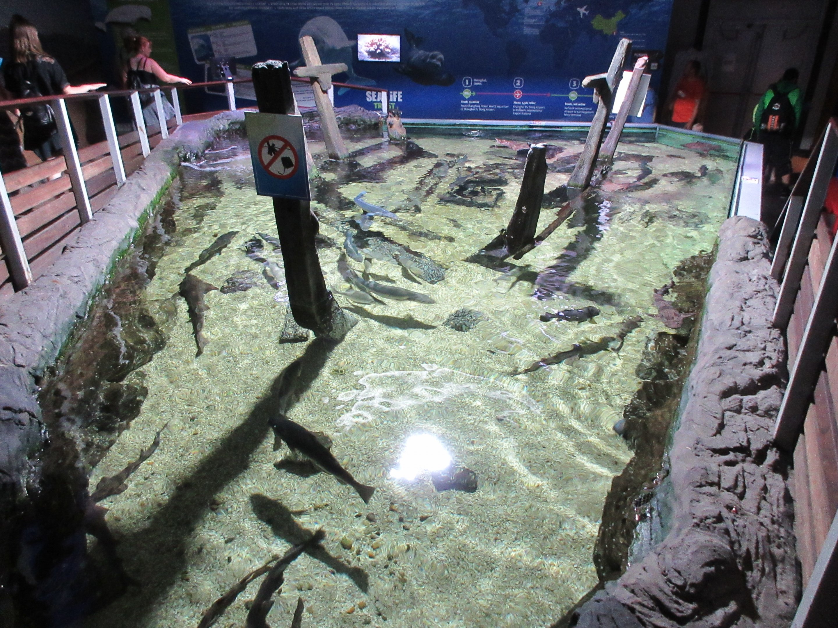 Stingray Tank (not the typical Sea Life shape)