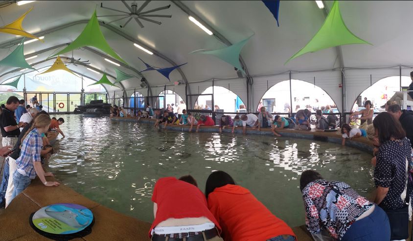 Stingray Touch - Panorama