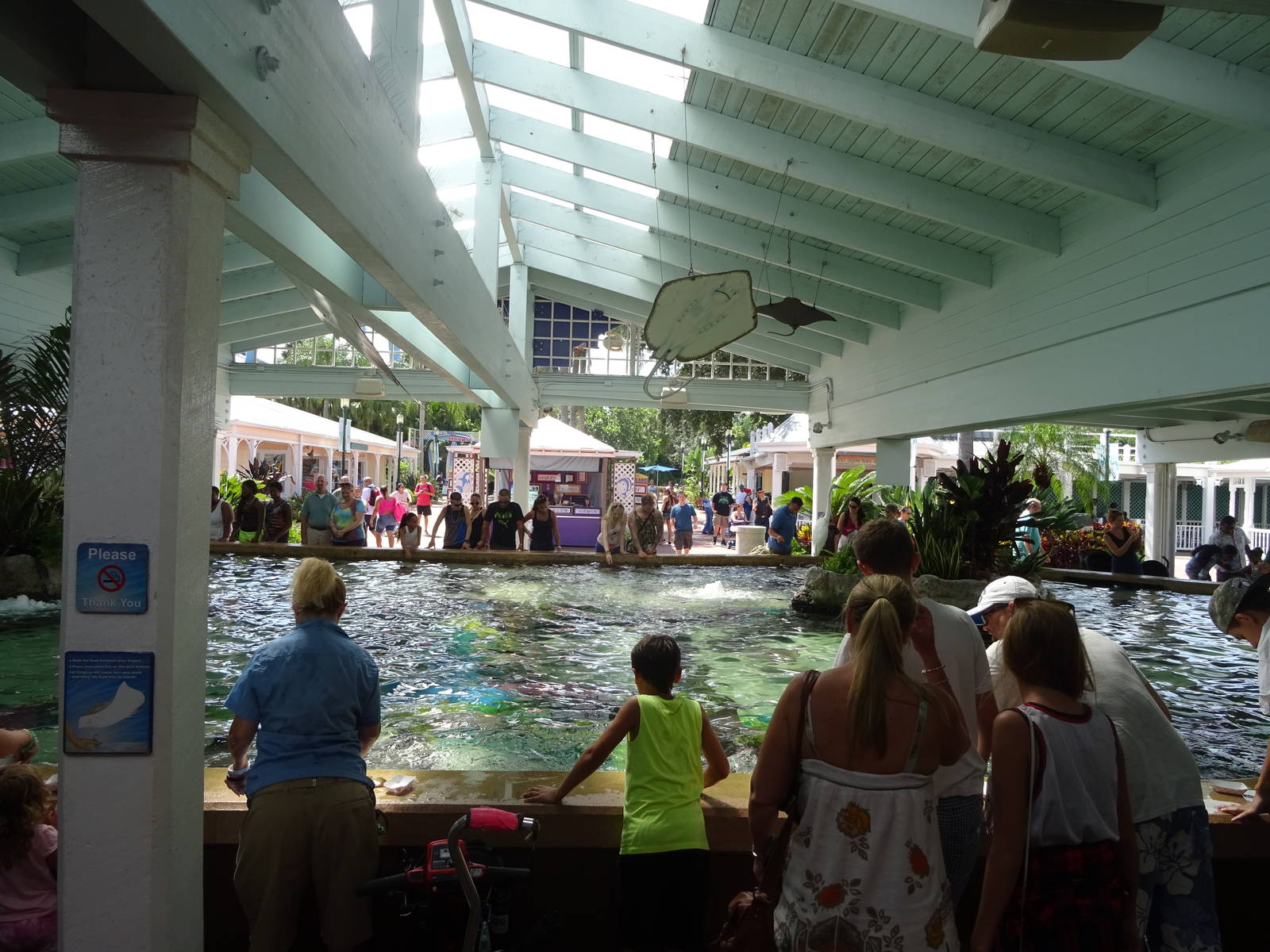 Stingray Touch Pool at SeaWorld Orlando