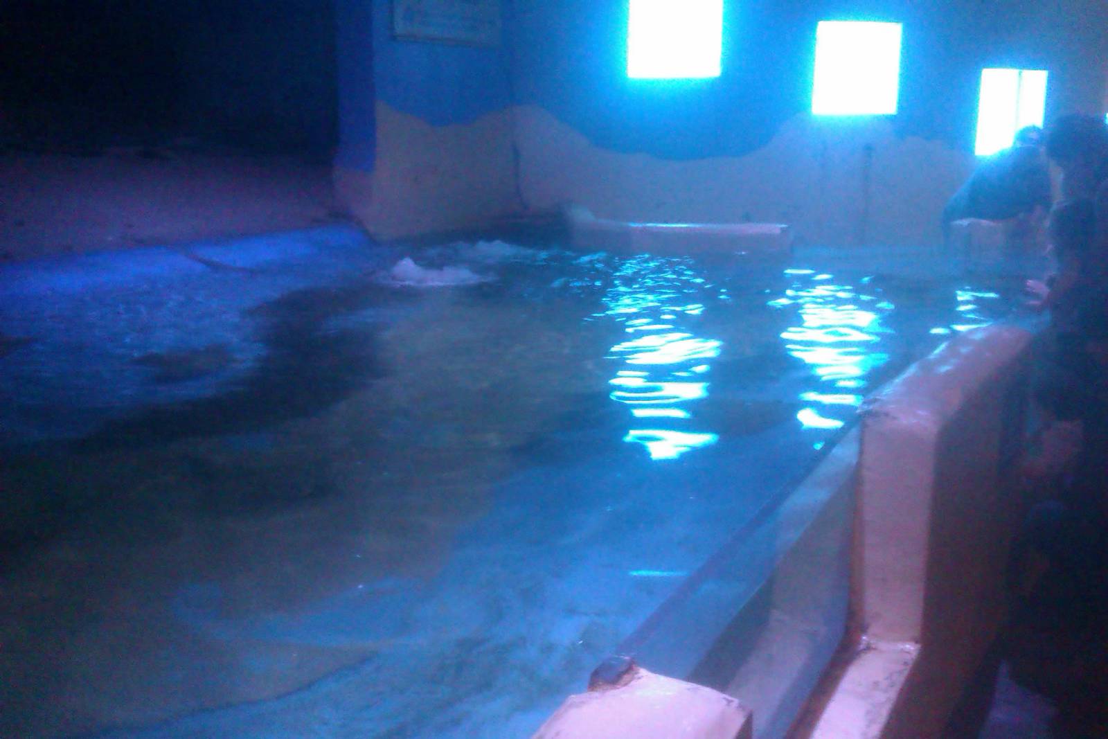 Stingray Touch Tank