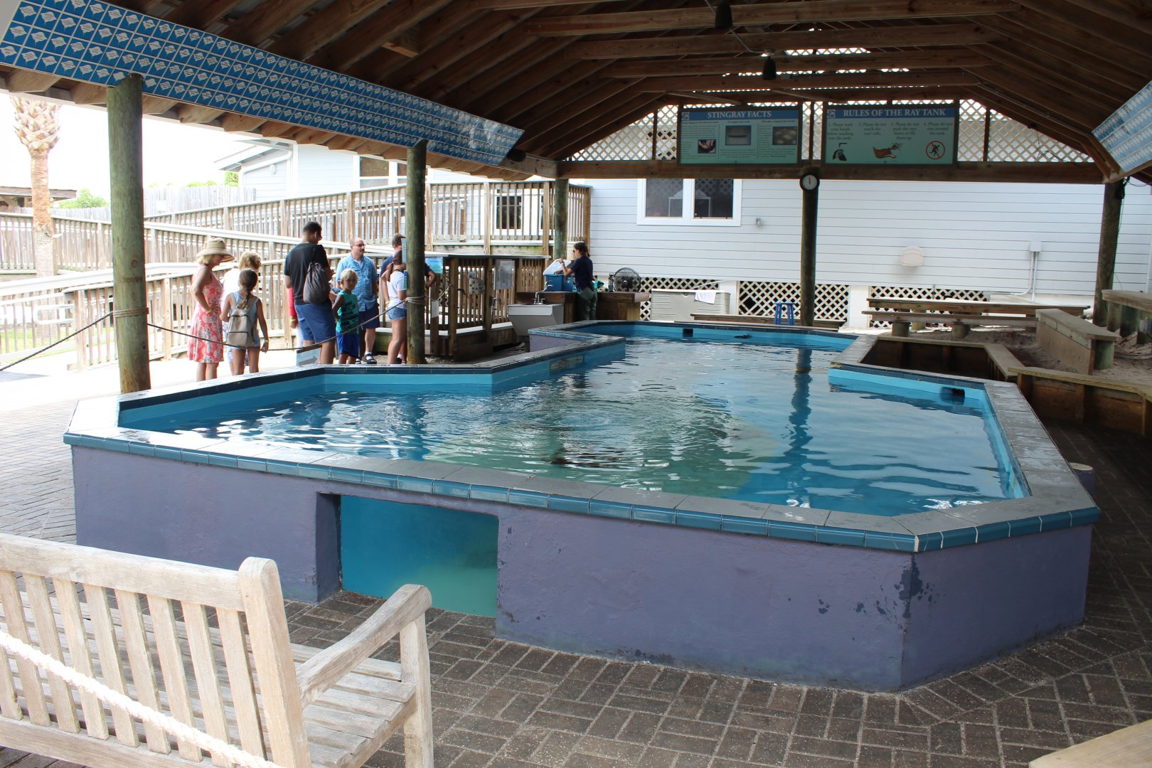 Stingray Touch Tank