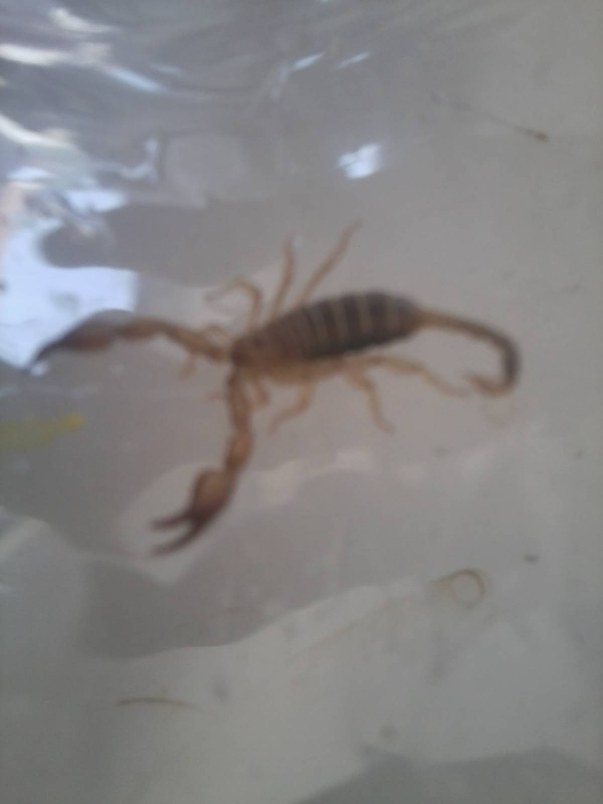 Stingy little friend in the bathroom