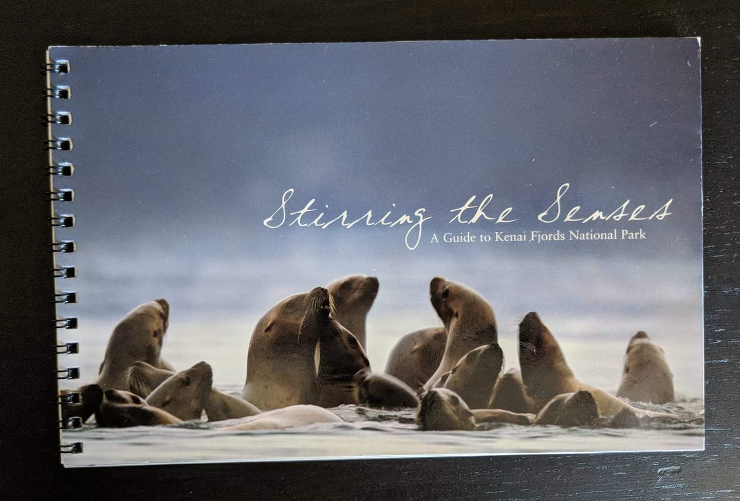 Stirring the Seas: A Guide to Kenai Fjords National Park