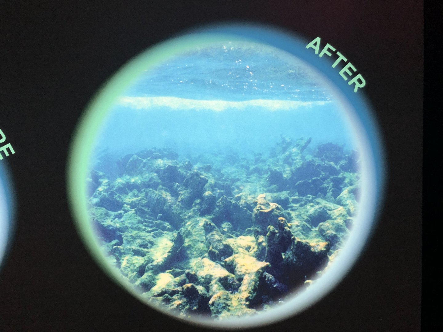Stock Degraded Reef Photo