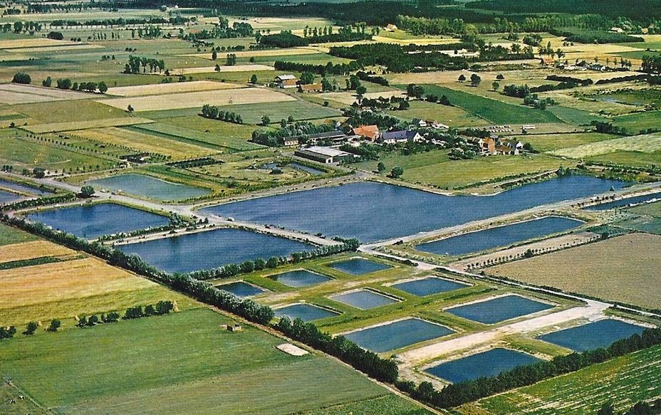 Stockmanshoeve from the air