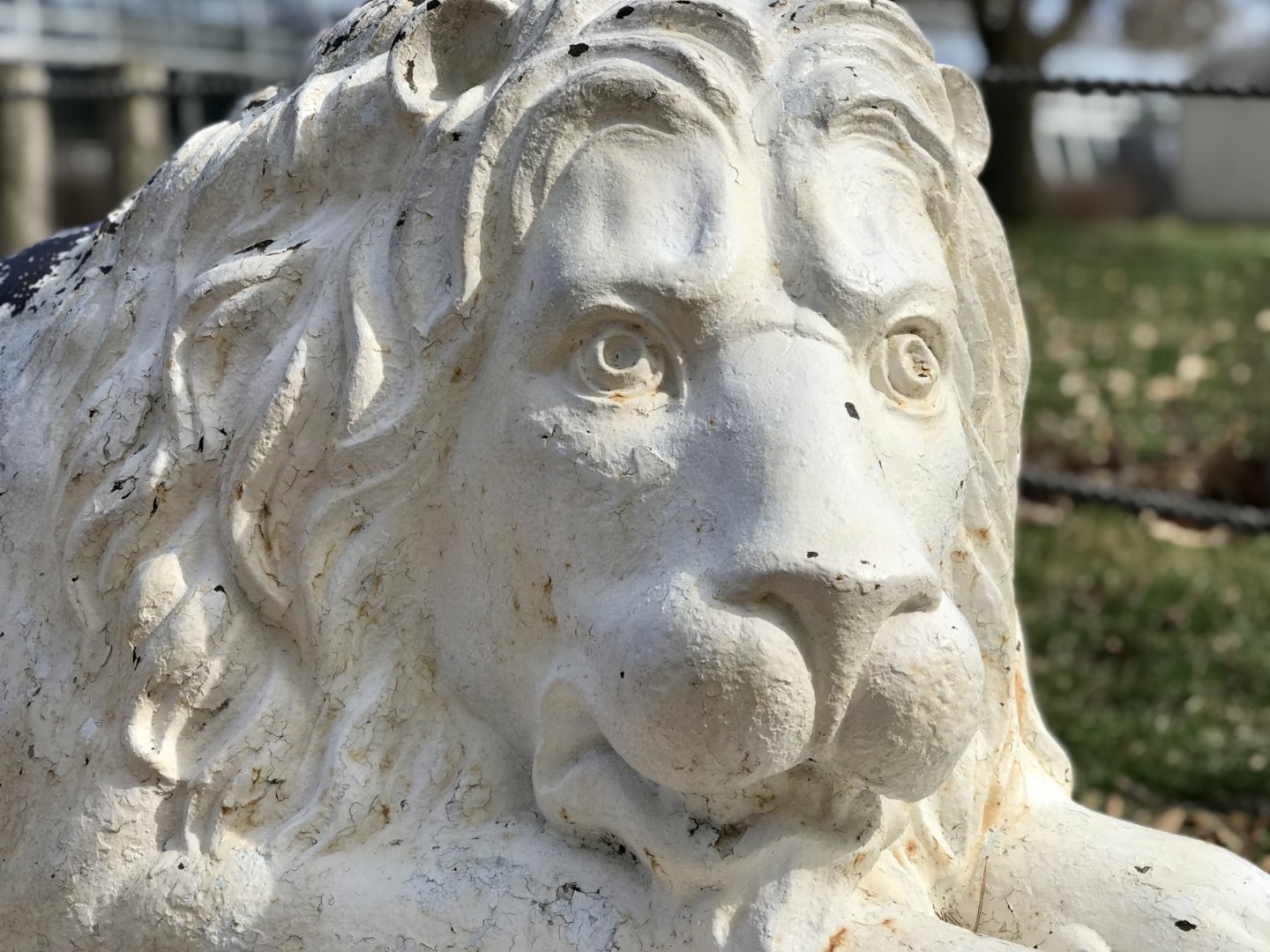 Stone Lion Detail