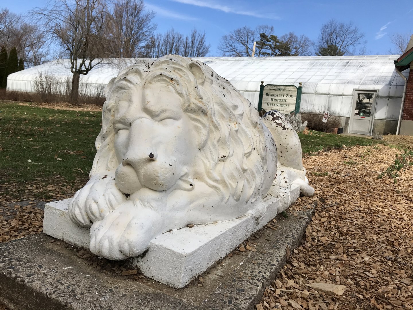 Stone Lion